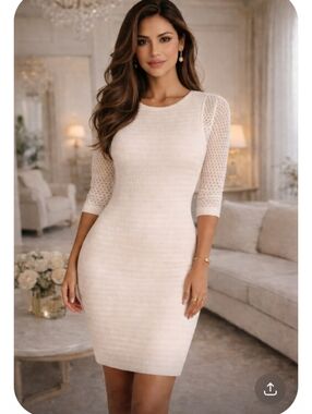 Cache Ivory Knit Sheath Dress Size Large Textured Mesh Knit Sleeve Zip Back